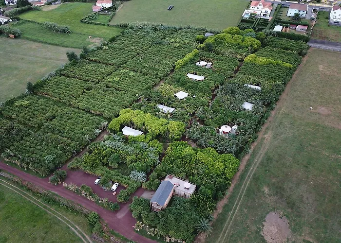 Azul Singular 4* Horta