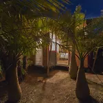 Azul Singular Luxury tent 4*