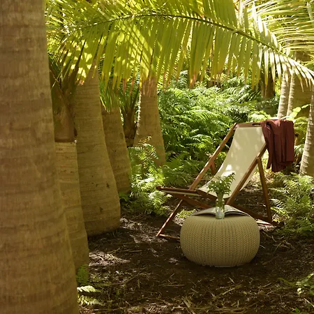 Azul Singular Luxury tent 4*