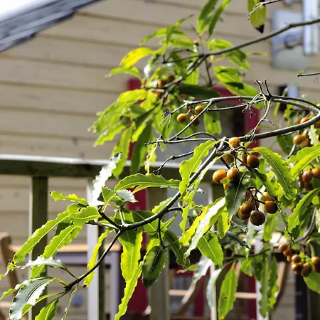 Azul Singular Luxury tent 4*