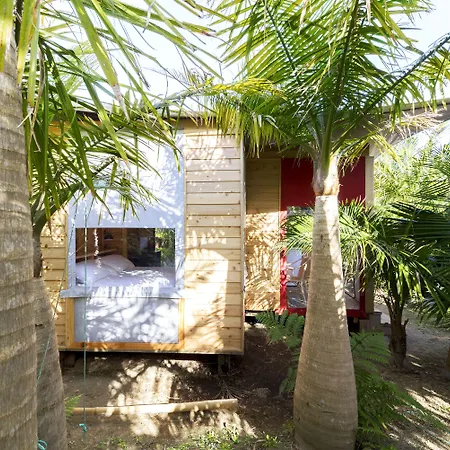 אוהל מפואר Azul Singular הורטה