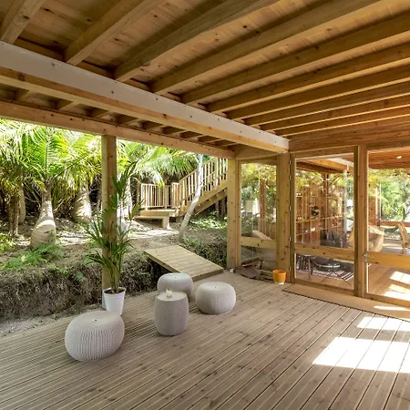 Azul Singular הורטה