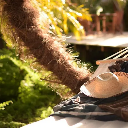 Luxury tent Azul Singular 4*