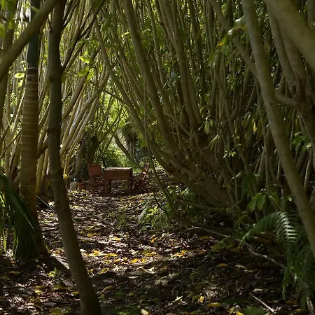 אוהל מפואר Azul Singular