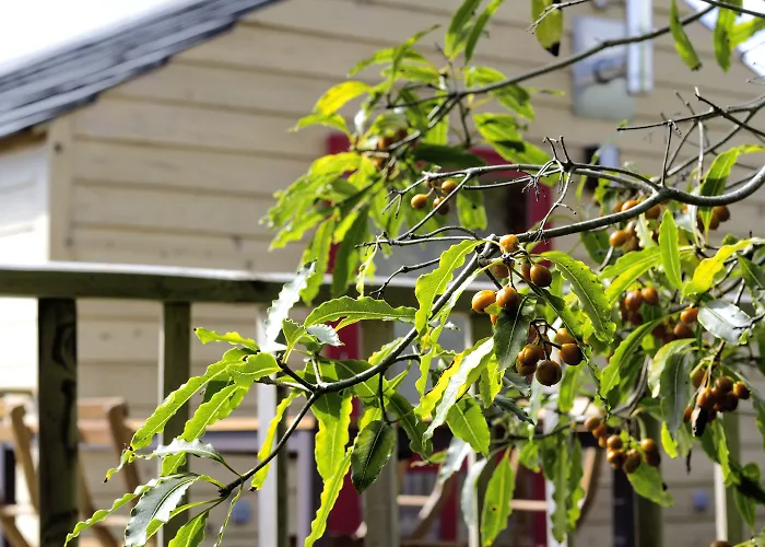 Azul Singular 豪华帐篷 4*