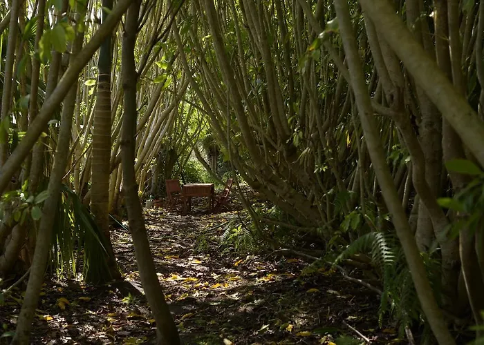 豪华帐篷 Azul Singular